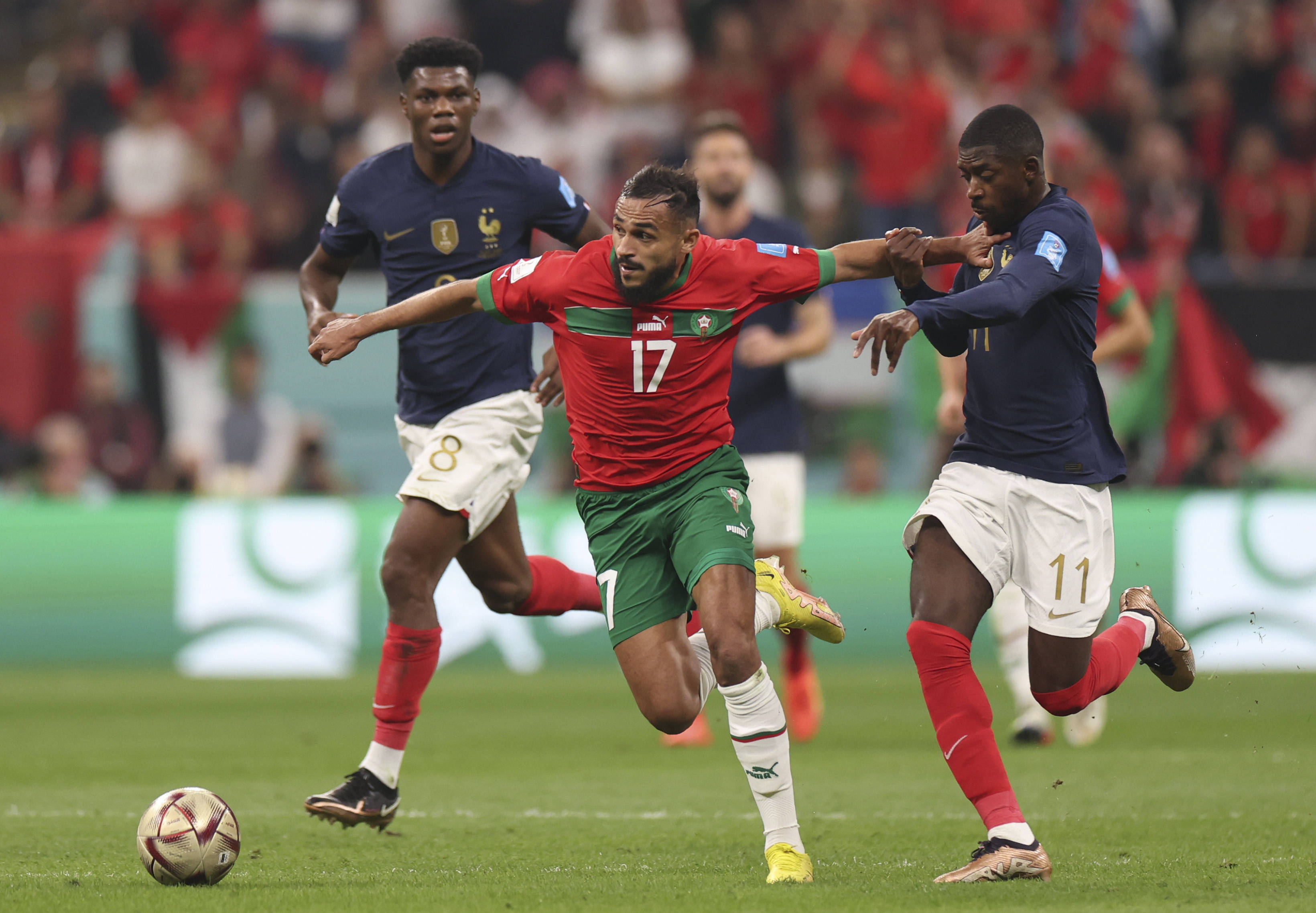 领导能力的 领导能力的